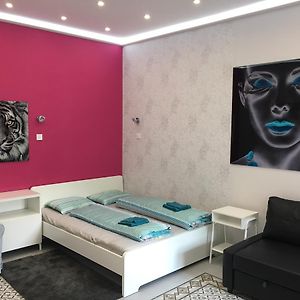 Diana'S Charming Studio At The Buda Castle